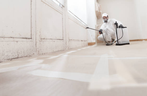 24/7 Emergency Attic Mold Remediation experts in Fort Hill, PA
